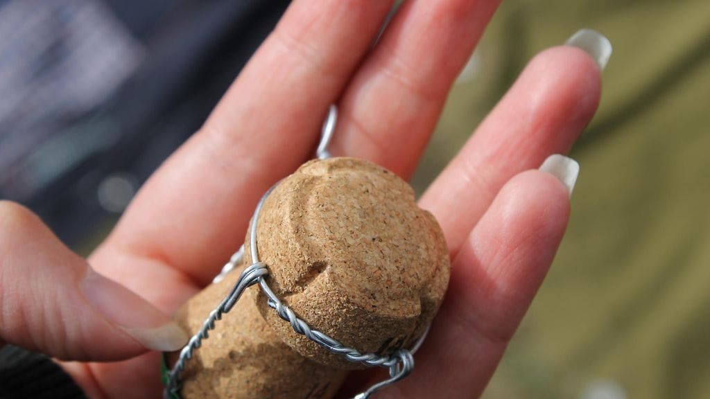 Vappupiknik, skumppapullon korkki