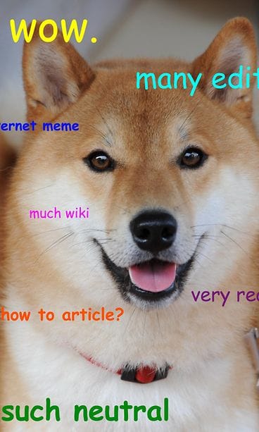 Doge-meemi