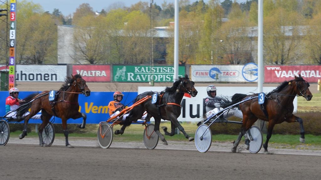 Vuoden takaisen Seppeleajon loppusuoralla ravasivat Serpillo Spin, Ranch Nero (kesk.) ja Jontte Boy.