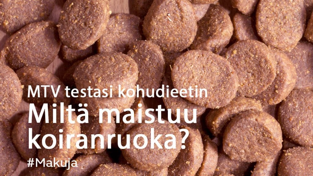 Huhtikuun parhaat -artikkelin kuva (3)