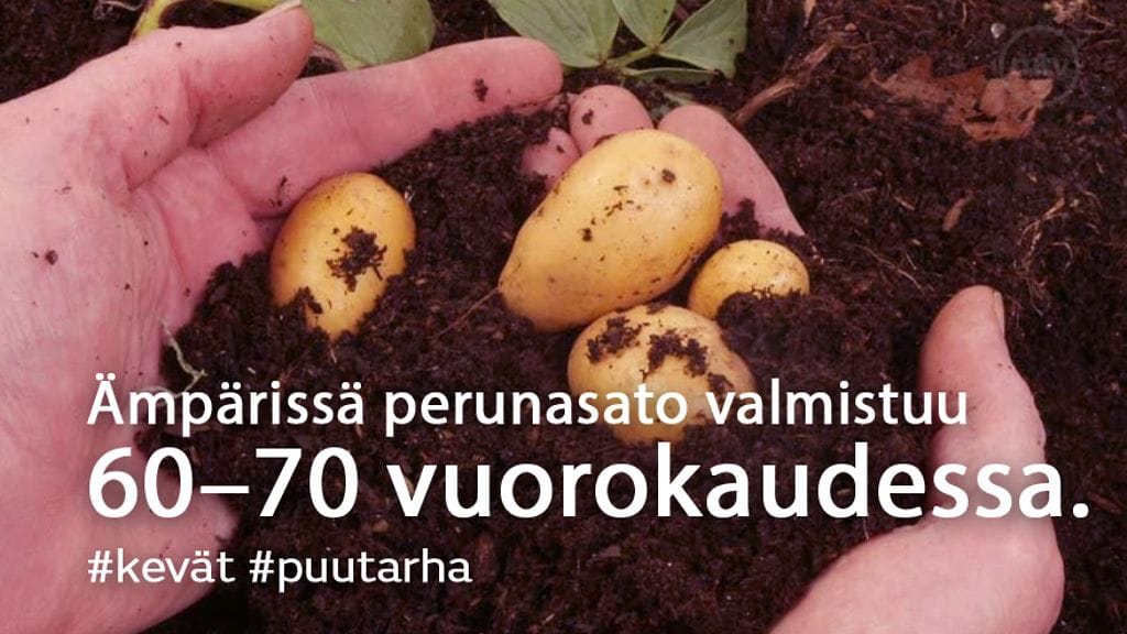 Huhtikuun parhaat -jutun kuvitus (1)
