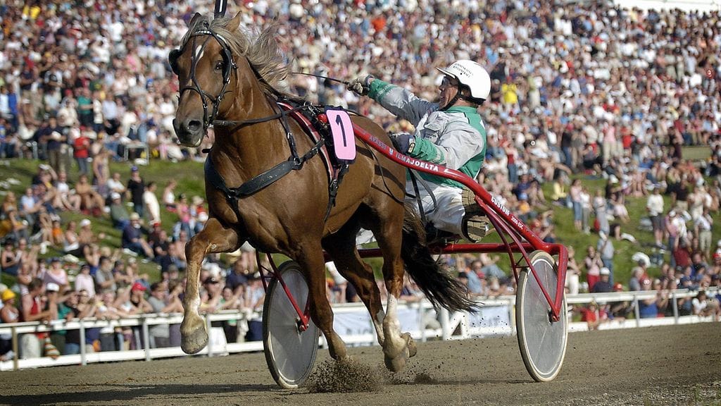 Apassi Rovaniemi ravit