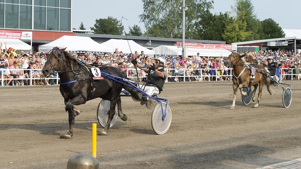 Kouvolan Toto76-kierroksen varmoihin lukeutuu tänään ravikuningas Köppinen.