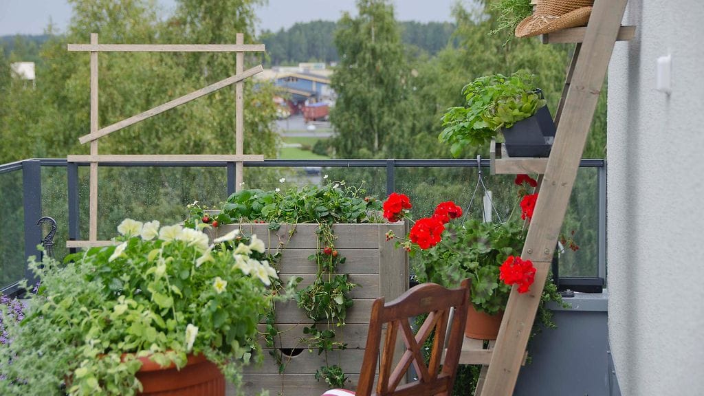 Oikein valitut kukat kaunistavat parvekkeen.