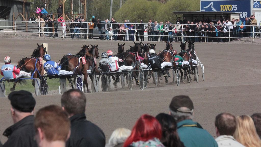 TammaDerbyn finaali ravataan tänä vuonna 20.5. Tältä meno näytti keväällä 2014.