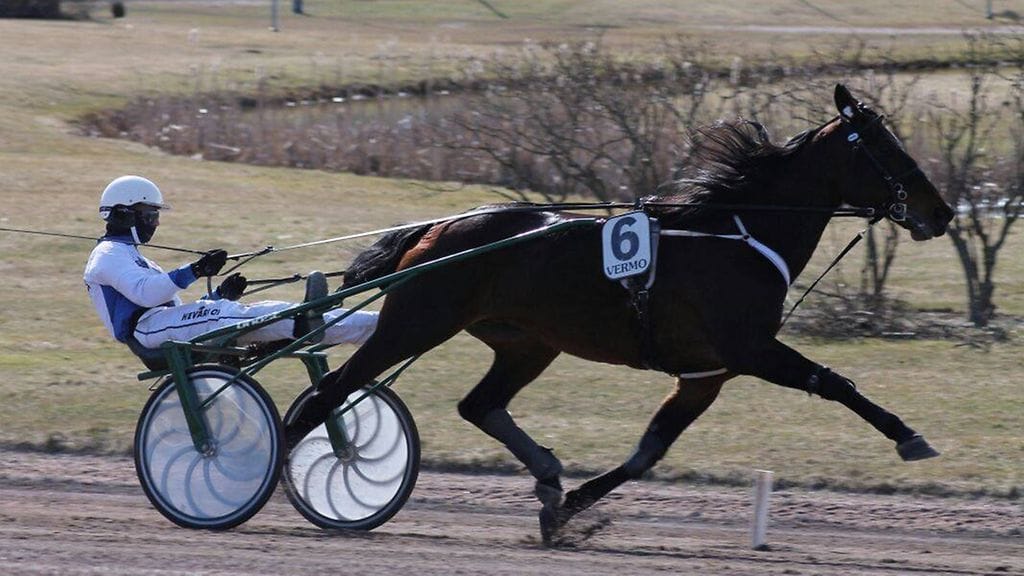 Doug Careliano (kuvassa) Vermossa Toto75-päivänä.