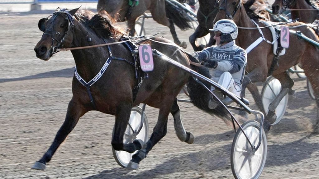 Seinäjoella nähdään muun muassa Finlandia-ajon voittanut Bret Boko.