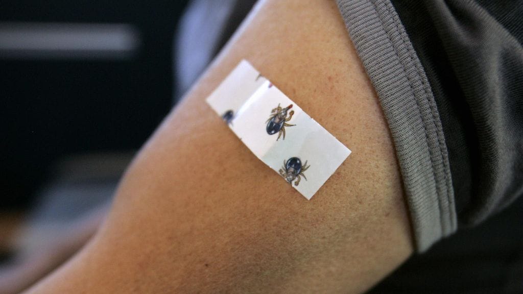 "Punkkirokote" on hieman harhaan johtava nimi.