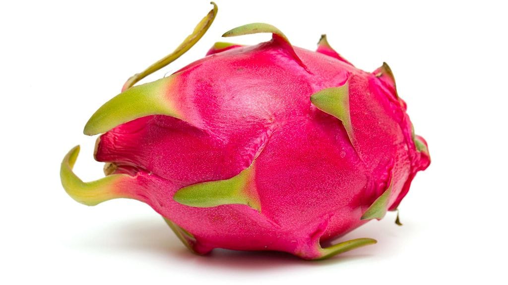 shutterstock_98352449