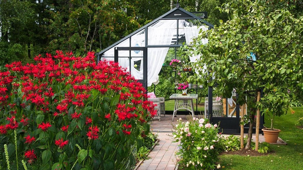 Liian siistissä puutarhassa ötökät eivät välttämättä viihdy – ne hyödyllisetkään. Kuva Suomen kaunein piha -ohjelmassa esitellystä puutarhasta Lappeenrannassa.