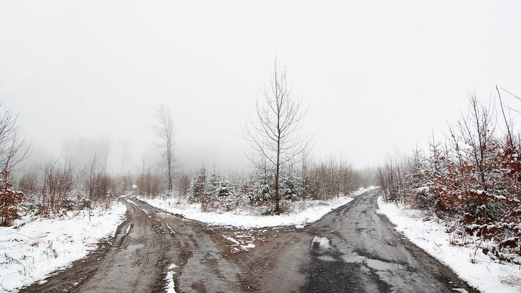 Kumppaneistaan eronneiden unissa oltiin usein jollakin tavalla matkalla jonnekin.