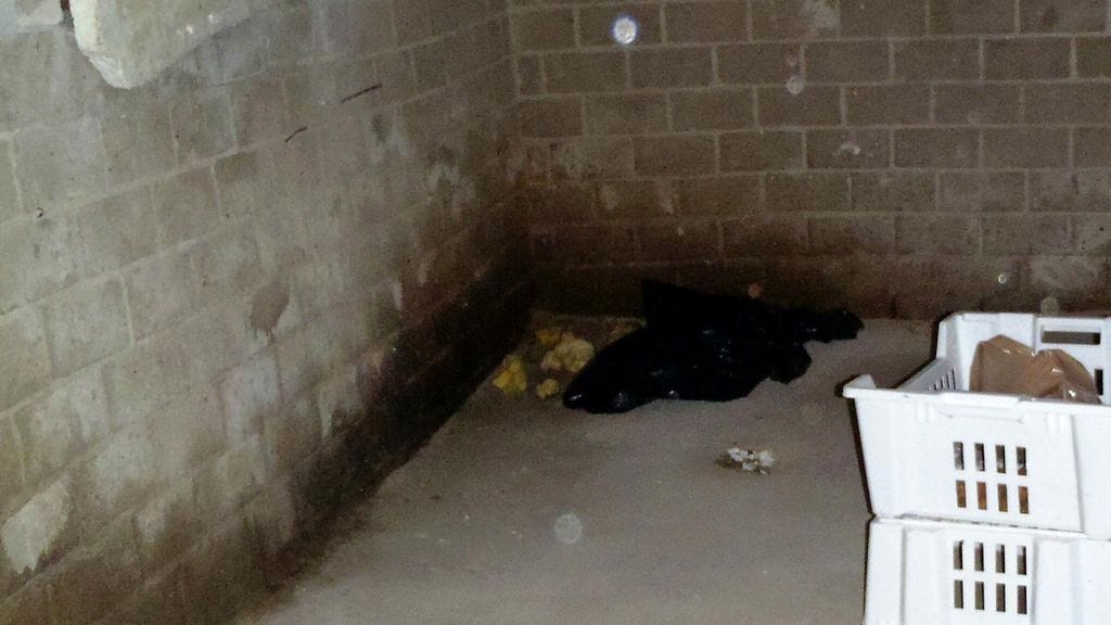 Kellarin perusmuurin alaosa märkänä