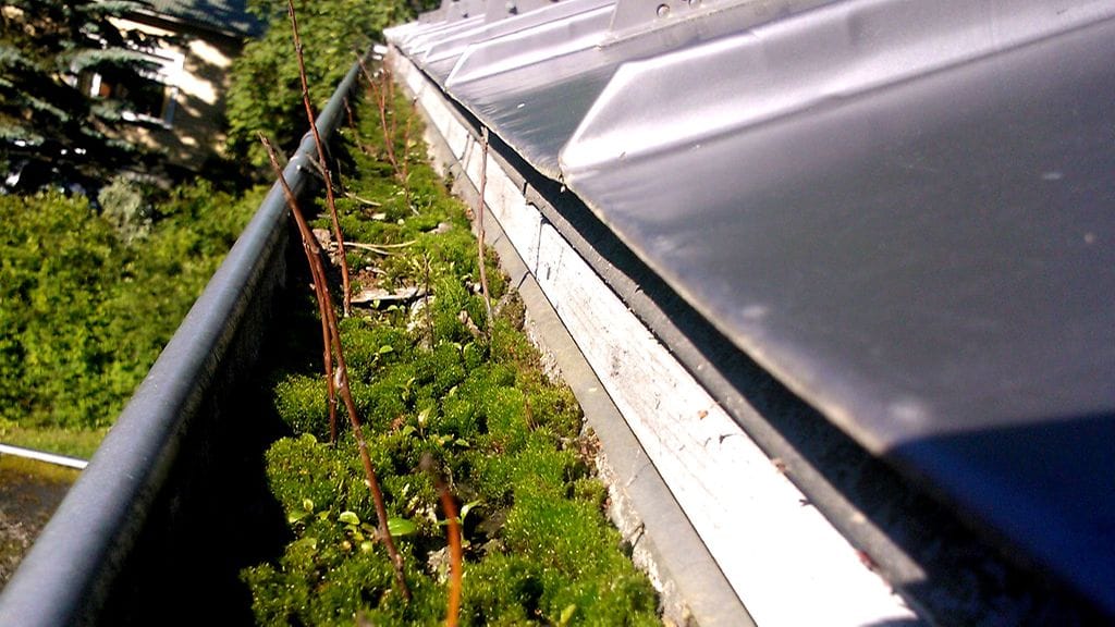 Tukkeutunut rännikouru valuttaa sadevedet sähköpääkeskukseen