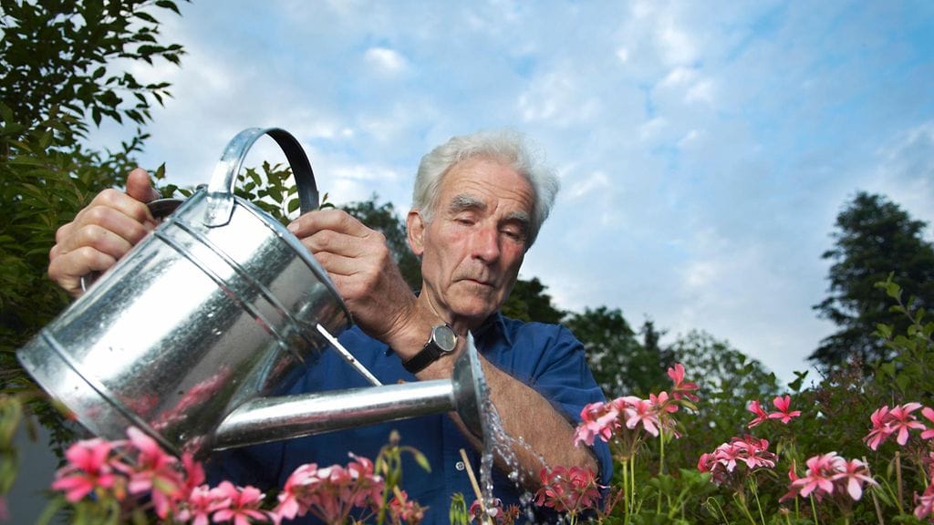 Olisiko puutarhanhoito sinun juttusi nyt, kun siihen on aikaa?