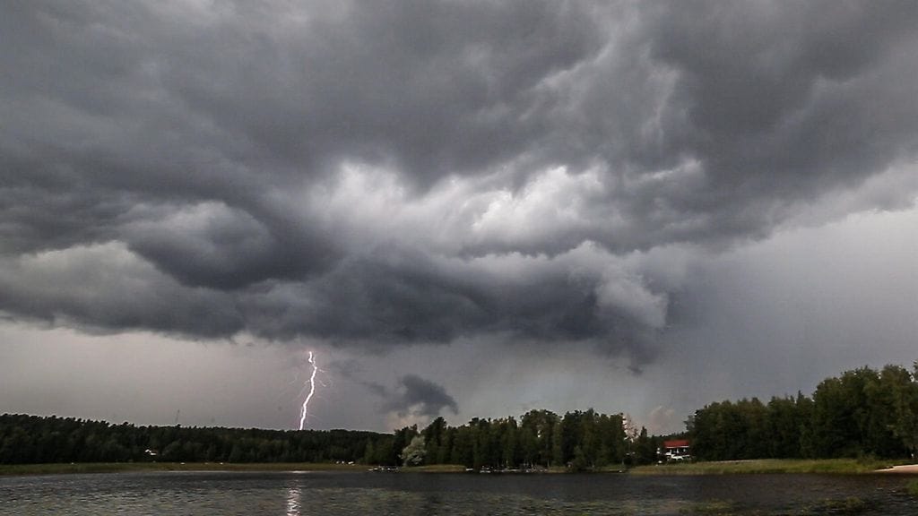 Maasalamia on raportoitu kesällä 2015 runsaat 8000.