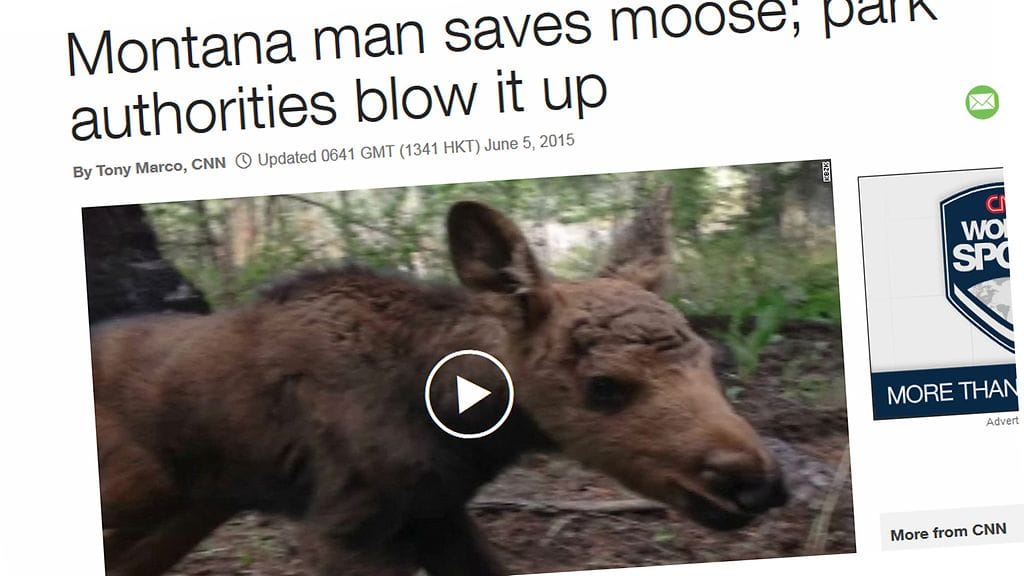 Kuvakaappaus CNN:n sivuilta