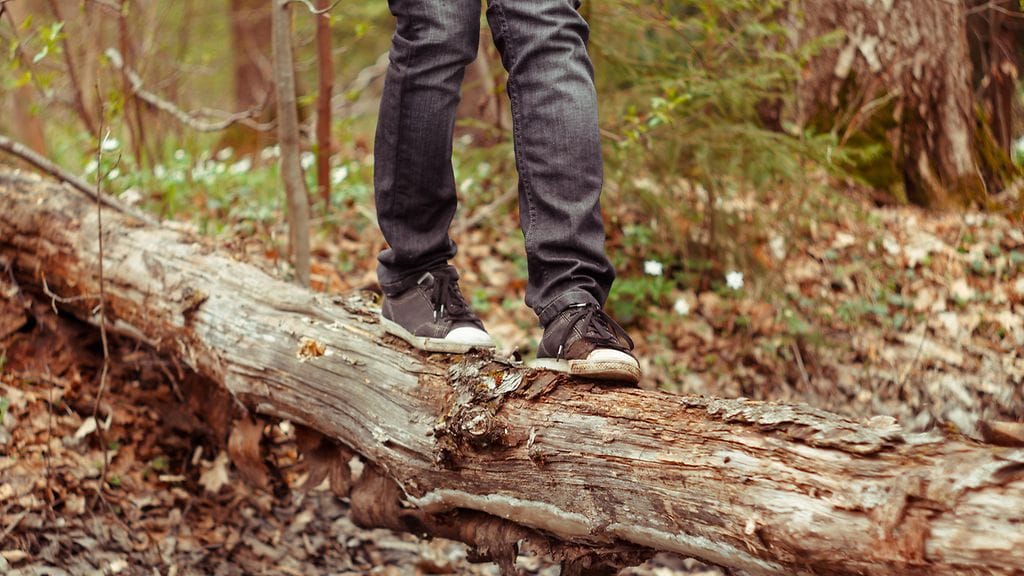 Kävelyä rungolla