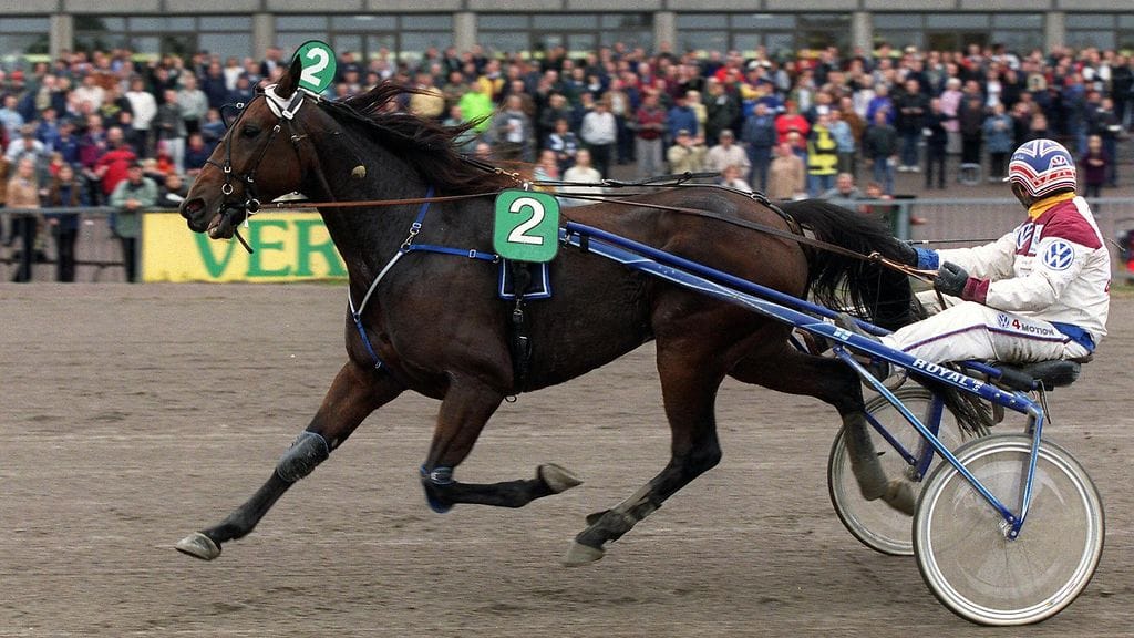Aki Antti-Roikon Diamond Valleyyn luotetaan illan Toto4-kierroksella. Kuvassa Aki Antti-Roikon ohjastama ruuna Guenoso voitti Vermon V75-ravien Helsinki-Ajon.