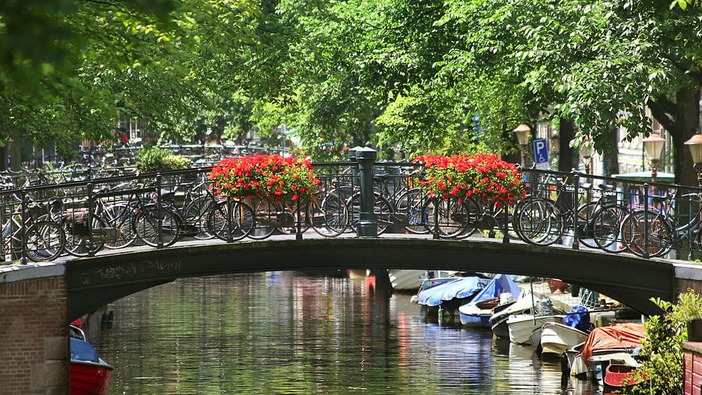 silta_amsterdam
