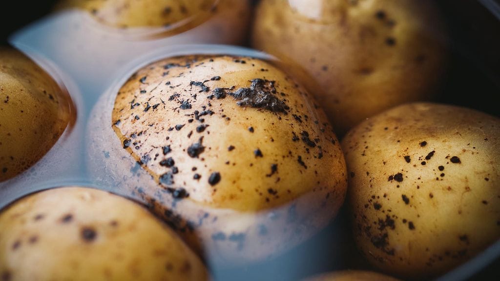 shutterstock_273152132