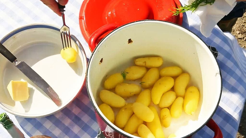 Osaatko keittää varhaisperunat oikein?