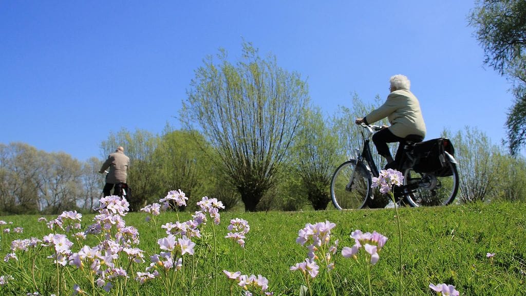 Pari pyöräilee (2)