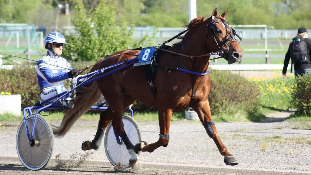 Viktor Kärppä ja Esa Holopainen nähdään Jyväskylän Toto4-kierroksella.