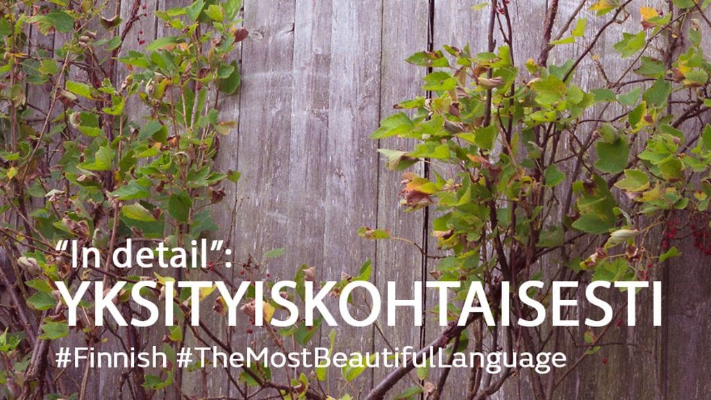 Kuvitus Suomen hauskin sana -juttuun (2)
