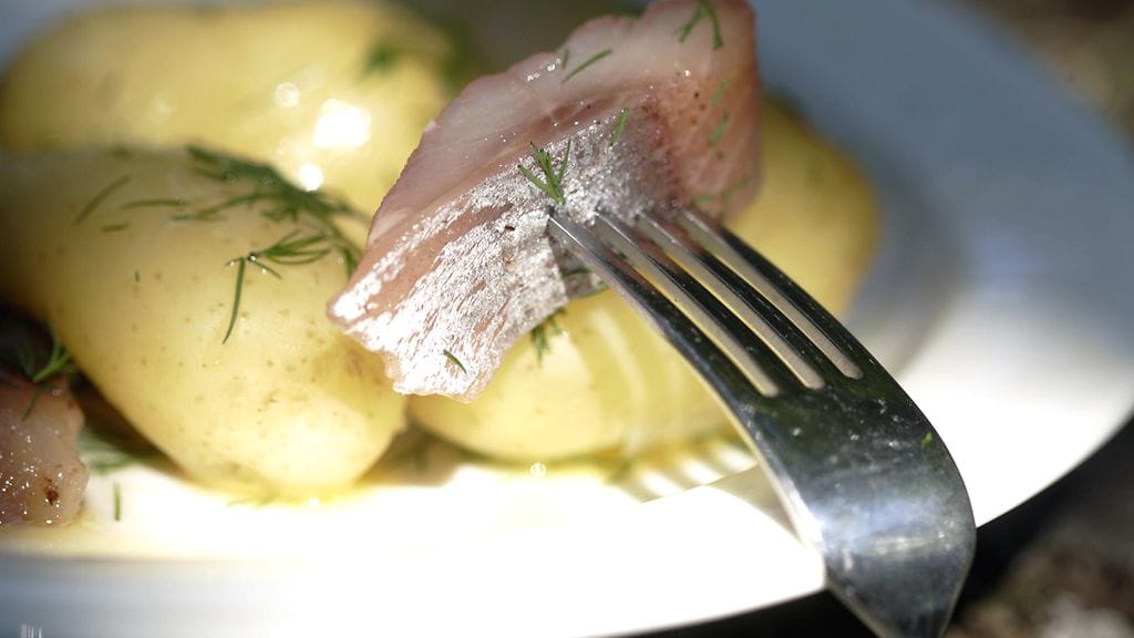 Peruna ja silli kuuluvat kesän ykkösherkkuihin.