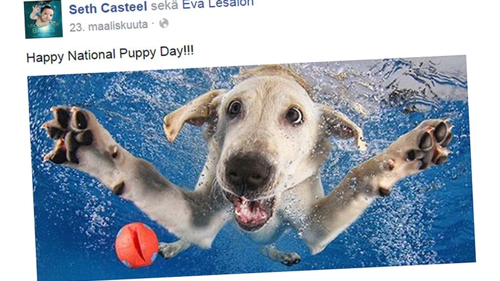 Kuvakaappaus Seth Casteelin Facebook-sivulta.