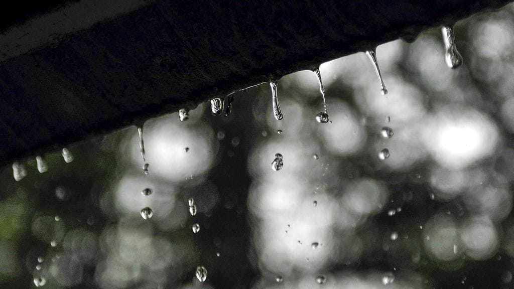 Etelässä ei joulupukki paljoa reellä ajele, sanoo Visa Salojärvi.