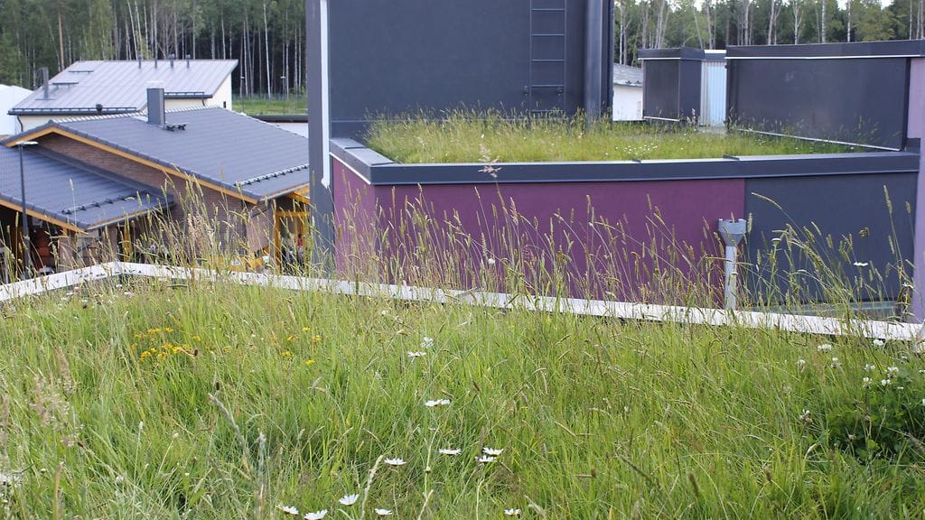 asuntomessut_outi 025