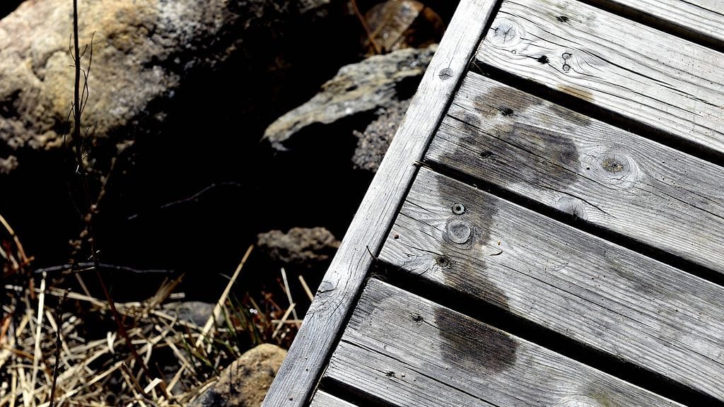 Lomarengas Oy:n toimitusjohtaja Juha-Pekka Olkkola sanoo, että kuluttaja on oman onnensa nojassa vuokratessaan mökkiä internetin ilmoitusfoorumeilta.