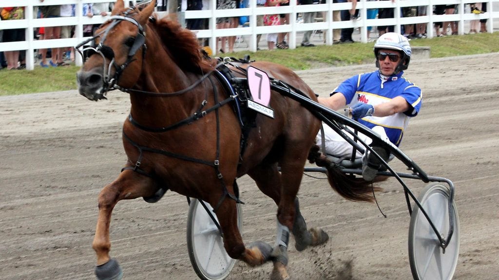 Ohjastaako Pohjoismaiden menestynein raviohjastaja Jorma Kontio Jokivarren Kunkun jälleen yhteen suurvoittoon?