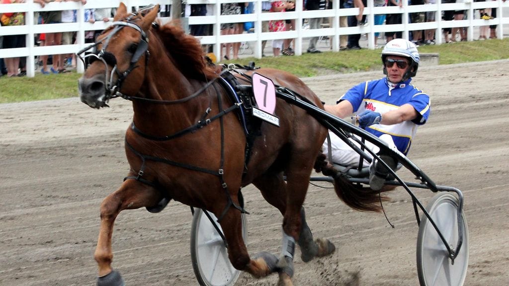 Hallitseva ravikuningas Jokivarren Kunkku palaa voittokantaan, uskoo MTV Sport asiantuntija Juha Jokinen.