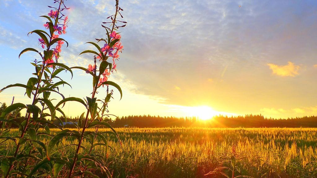 Auringonnousu Lohtajalla. Lukijan kuva: Matti Hietala