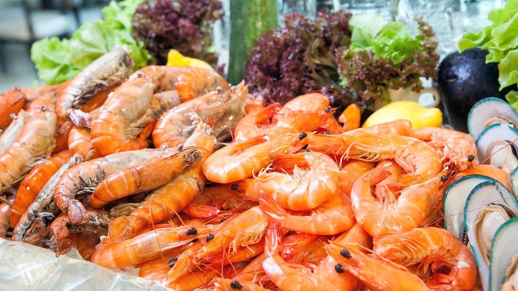 Merenelävät ovat monen laivamatkailijan makuun.