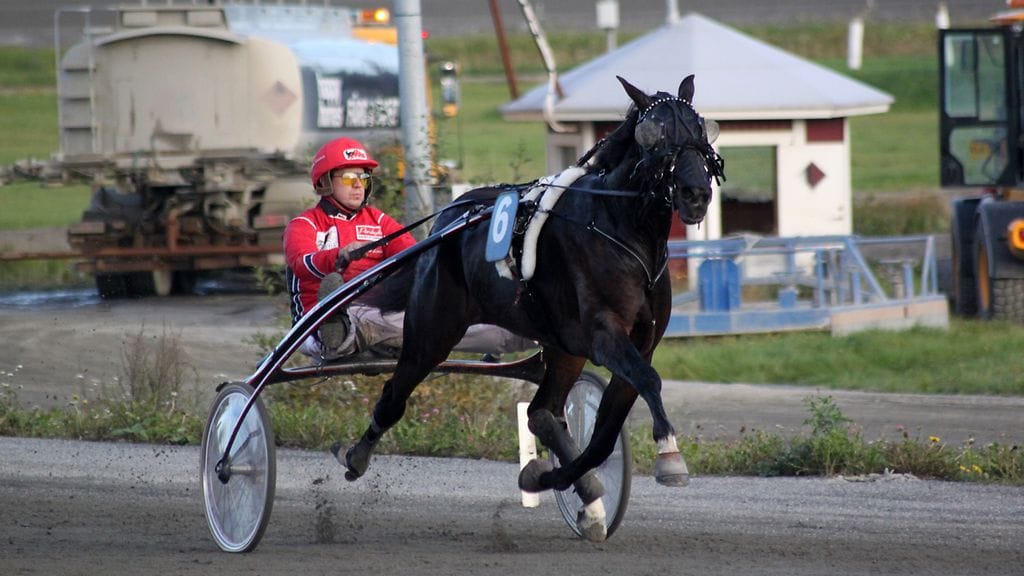 Viekö Elian Web voiton Kasvattajakruunun finaalissa?