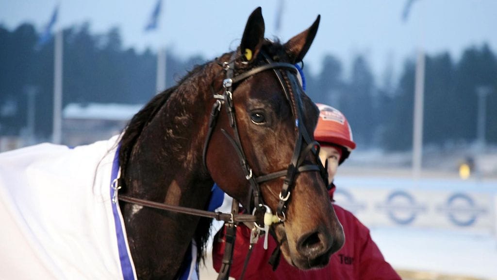 Extreme Luca on kehittänyt talvisin parhaimmillaan kuuden voiton mittaisia menestysputkia.