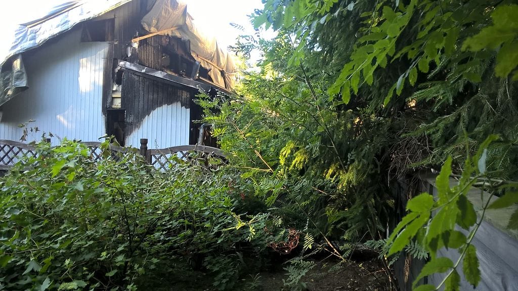 WP_20150804_19_23_50_Pro