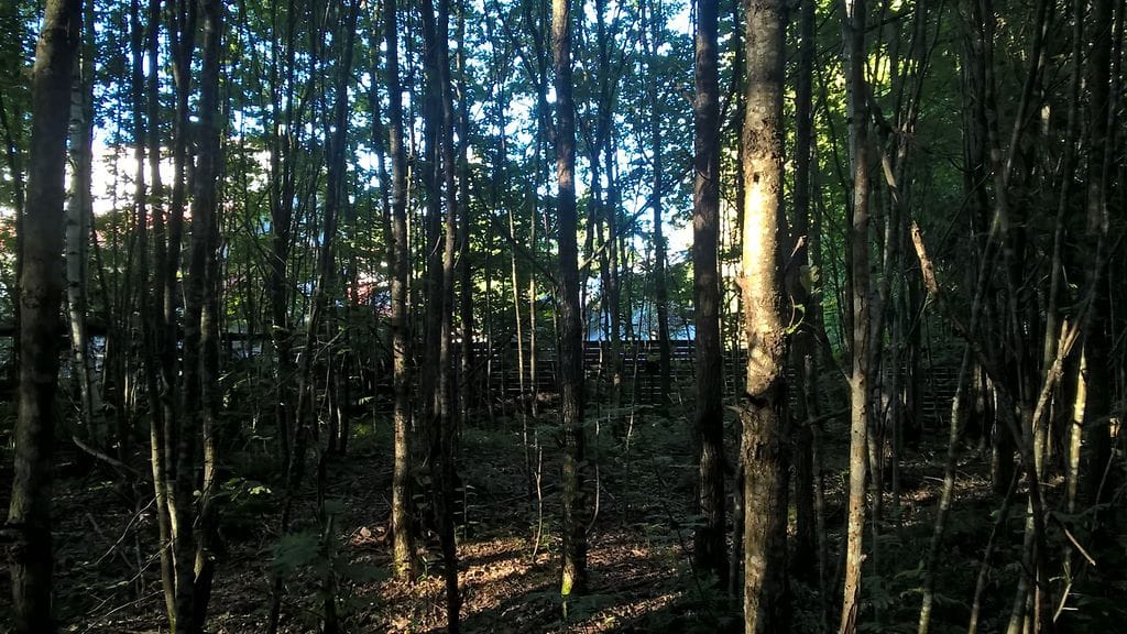 WP_20150804_19_21_16_Pro