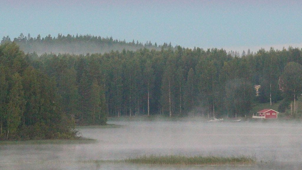 aamusumu