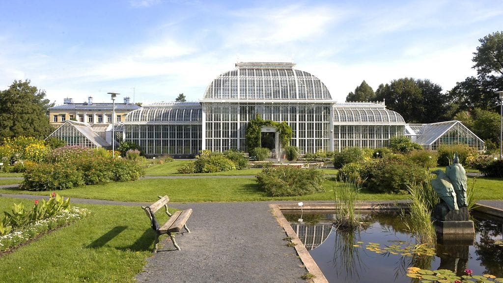 Nyt voit käydä virtuaalivierailulla esimerkiksi Kaisaniemen kasvitieteellisessä puutarhassa.