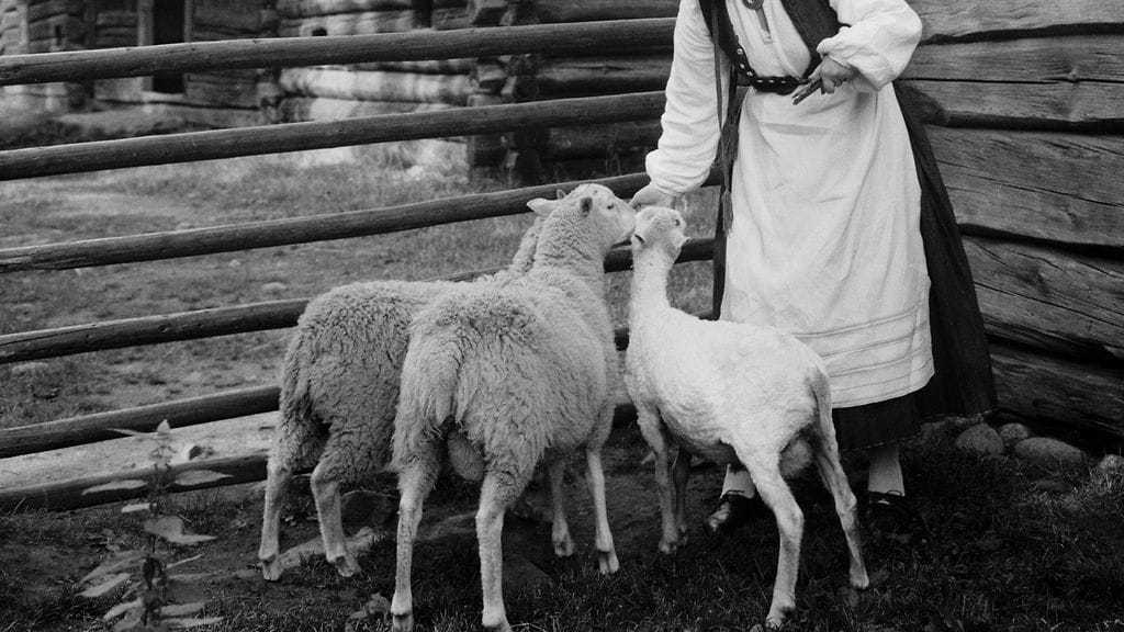 Sana "piika" merkitsi alun perin naimatonta, alempisäätyistä naista. Kuvituskuva.