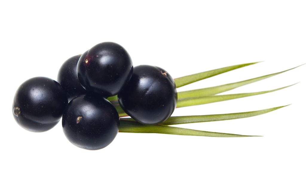 acai