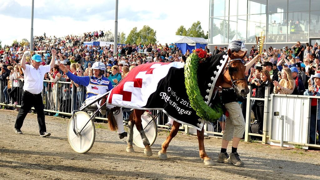 jokivarren_kunkku_kontio_kuninkuusravit_ravit