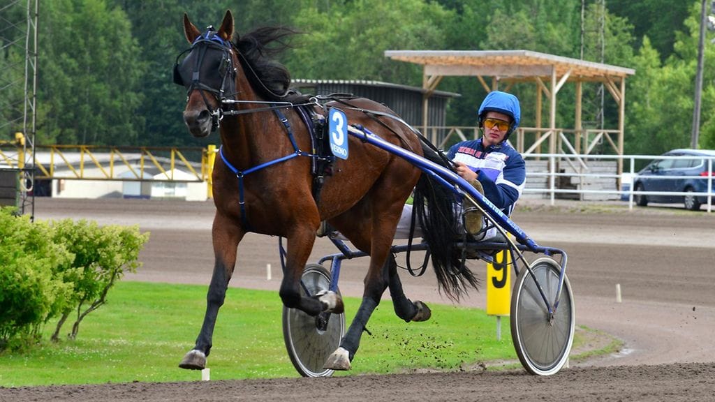 Stoneisle Logan ravit