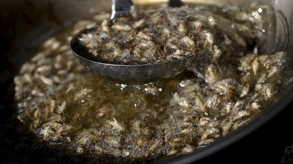 Hyönteisruokaa myynnissä Helsinki Night Market -tapahtumassa elokuussa 2015.