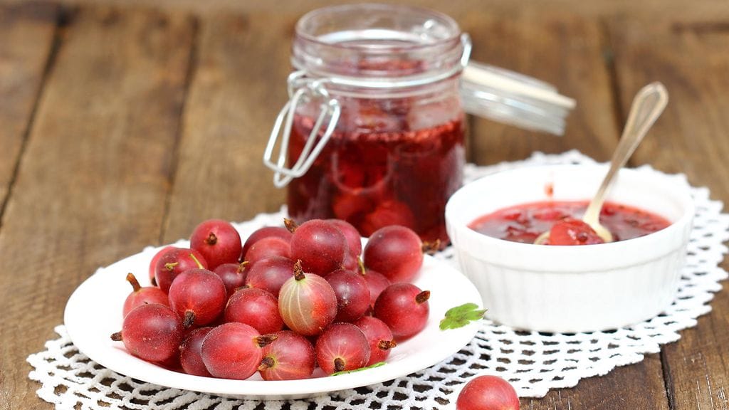 Karviaiset ovat kovakuorisuudestaan huolimatta erinomaisia hillomarjoja.