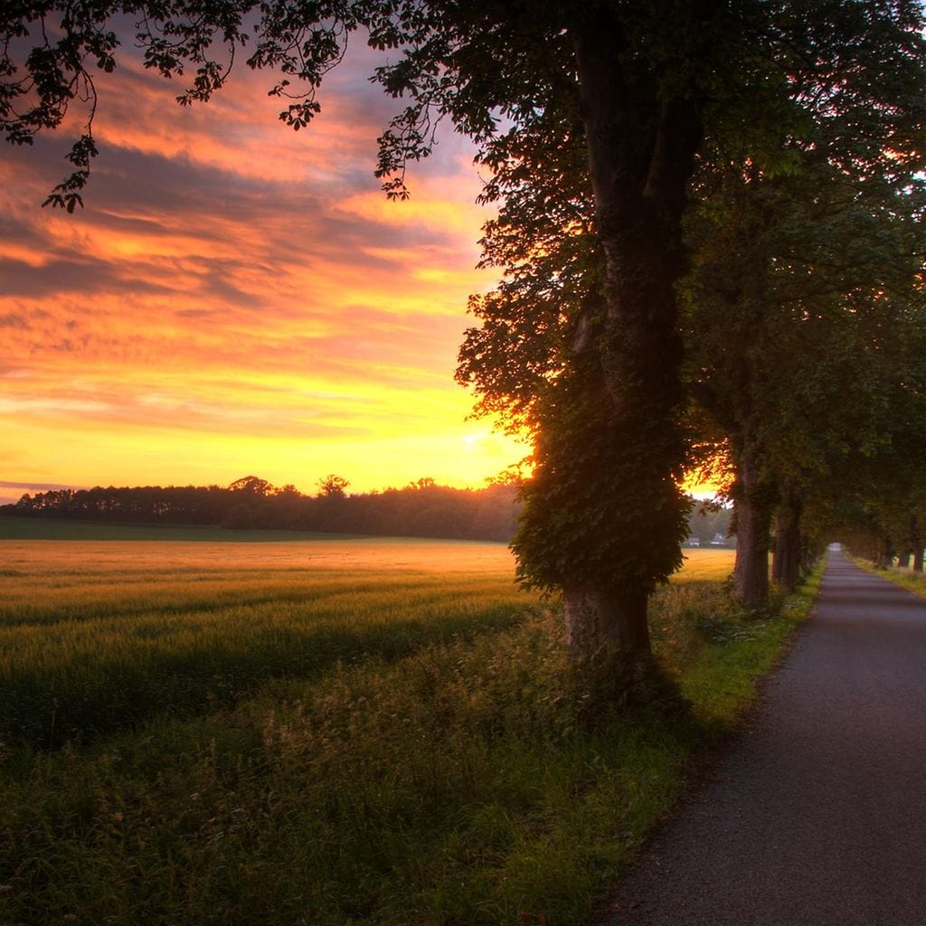 Metsämaisema (2)